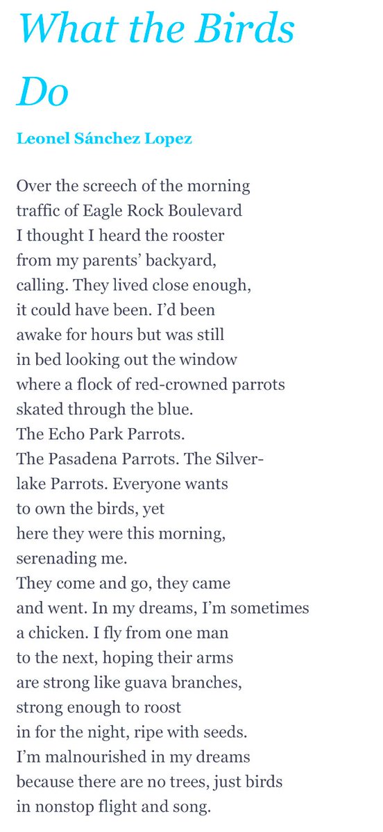 Randall Mann (@randallmannpoet) on Twitter photo Today’s Poem-a-Day <a href="/POETSorg/">Academy of American Poets</a> is by Leonel Sánchez Lopez, quiet & vulnerable & beautiful. <a href="/usfmfa/">MFA @ U of San Francisco</a> 🦜❤️ Today’s Poem-a-Day <a href="/POETSorg/">Academy of American Poets</a> is by Leonel Sánchez Lopez, quiet & vulnerable & beautiful. <a href="/usfmfa/">MFA @ U of San Francisco</a> 🦜❤️