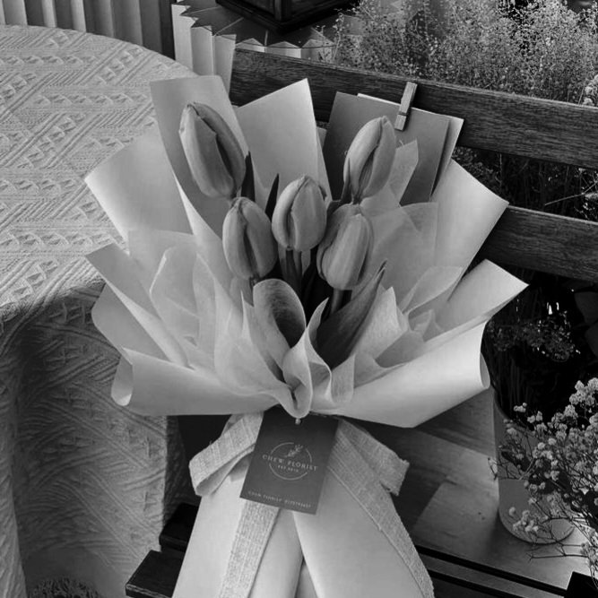 Threnoedy's tweet photo. ️️ ️️

️️ 

️️  ️️
⠀
️️ 
My feelings for you. They never fade, they either stay steady or quietly grow, and honestly, I think it's more of the latter. Happy (belated) Girlfriend's Day to you, my favorite chase, my softest love. I love you.
️️ 

️️
️️

️️
⠀ https://t.co/82TFs2sznD