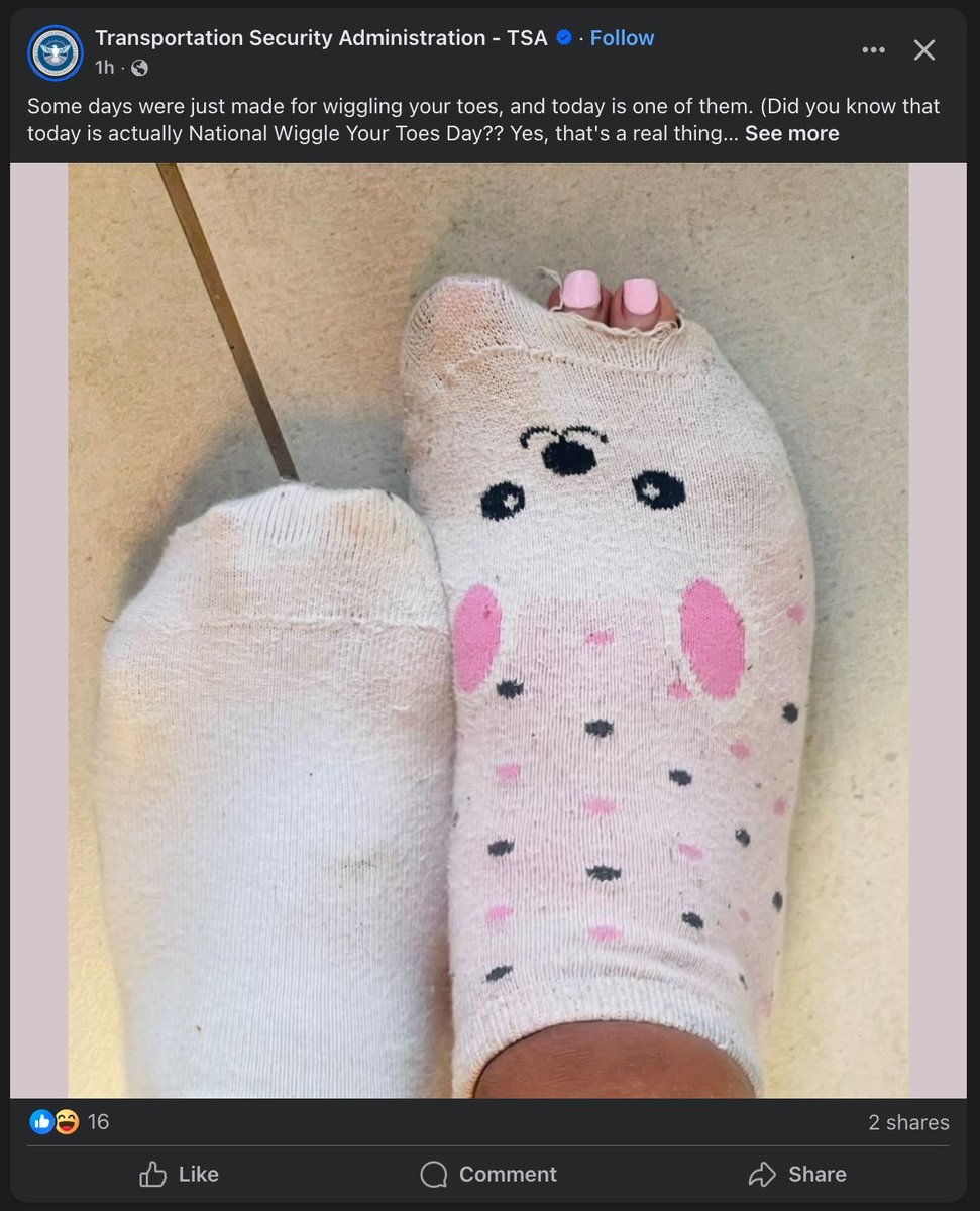 TrainRespecter's tweet image. Does Dan Schneider work for the TSA?