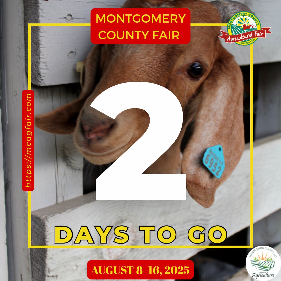 We’re just 2 days away from one of Montgomery County’s favorite summer traditions! 🐐 Come meet farm animals, explore ag education exhibits, and celebrate local agriculture with us at the fair.
📍Find us at the Office of Agriculture booth!
📅 August 8–16
#MoCoAg