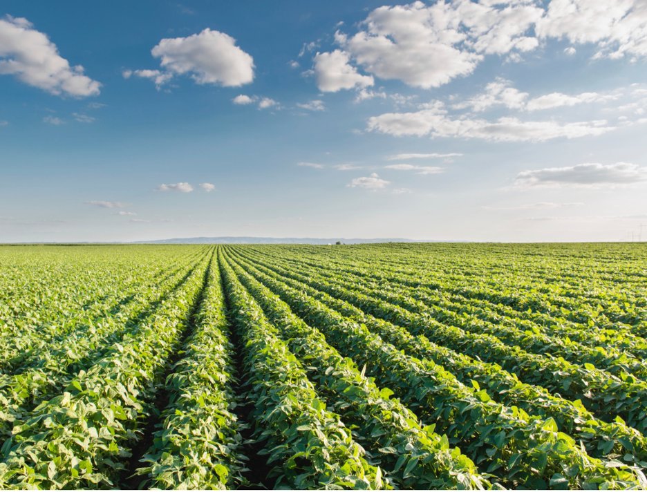SoybeanResearchInfoNetwork (@soyresearchinfo) on Twitter photo #SoySnippets: <a href="/unlagrohort/">Nebraska Agronomy and Horticulture</a> #SoyResearch learns how pathogens overcome resistance and then genetically reinforces the plant’s immune system. <a href="/NESoybeanBoard/">Nebraska Soybean Board</a> bit.ly/3TFjaNu #USSoy #SoySnippets: <a href="/unlagrohort/">Nebraska Agronomy and Horticulture</a> #SoyResearch learns how pathogens overcome resistance and then genetically reinforces the plant’s immune system. <a href="/NESoybeanBoard/">Nebraska Soybean Board</a> bit.ly/3TFjaNu #USSoy