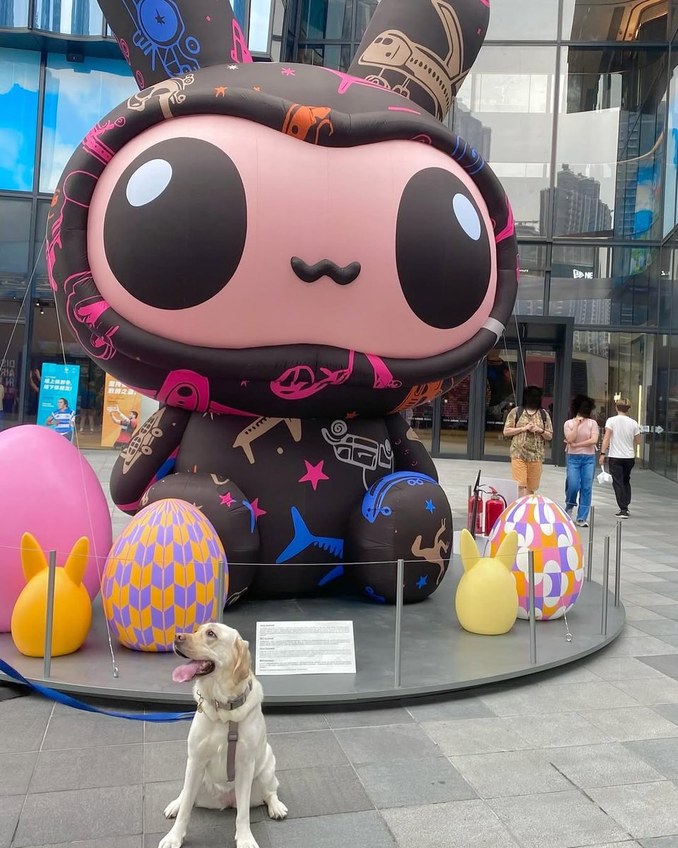 This dog and the giant plushie together are just too cute! It's definitely the highlight of the scene. 🐶🎉