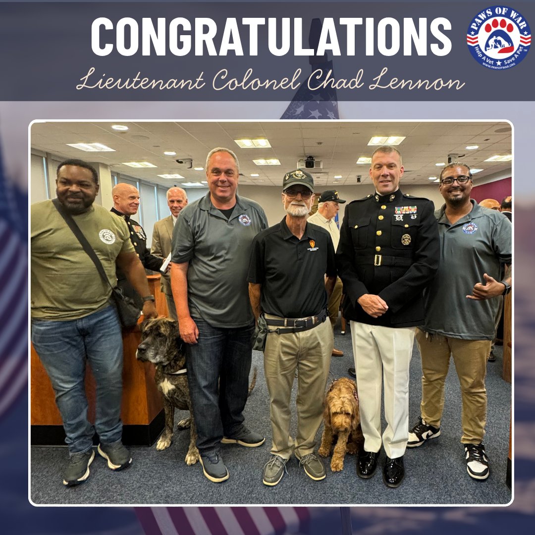 Paws of War tweet media