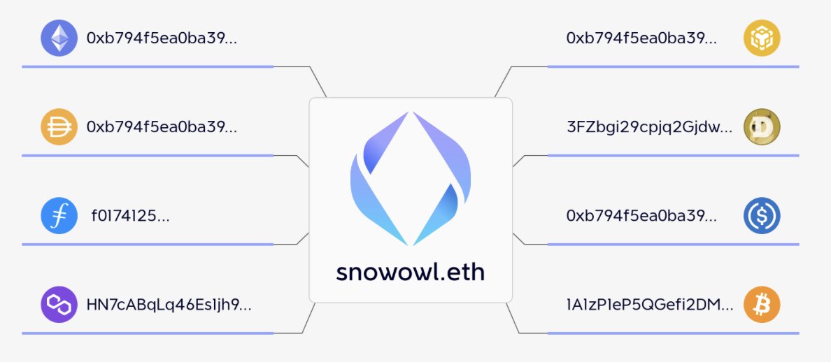 ONE ADDRESS FOR ALL BLOCKCHAINS?

It's simple - ENS.

You can link wallet addresses from over 100 different chains all to your ENS domain.

It is vitally important that you own an ENS domain.