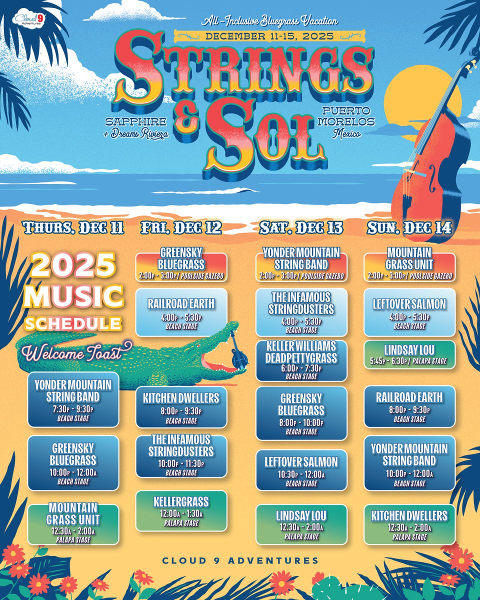 Strings & Sol tweet media