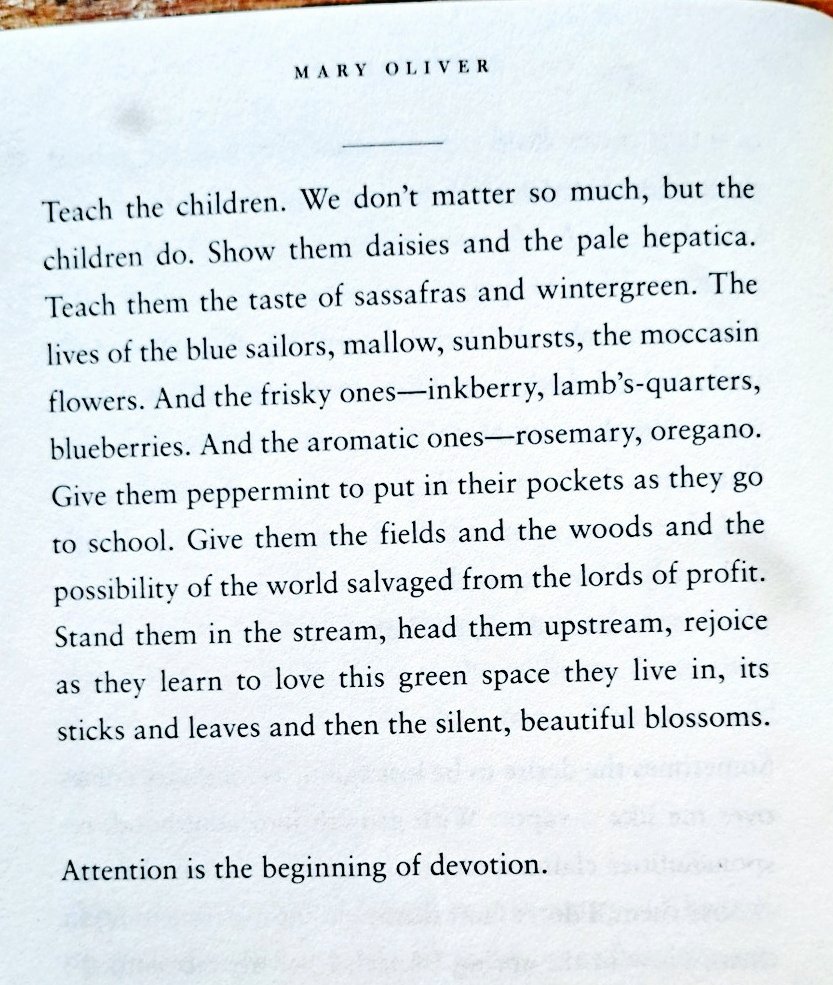 As the world of AI and Technology continues to ever increase, here's the one and only Mary Oliver with an important challenge for us all. (Legend ❤️✨️)