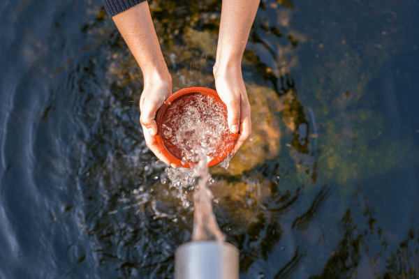 Catorce 6 tweet media