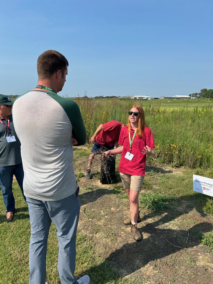 AginArk's tweet image. Just-graduated @uarkhort student Sarah Paschal discusses how planting dates and methods affect the establishment of tall prairie grasses. The work was done in cooperation with @myARDOT 

#uaturf2025
#turfgrass