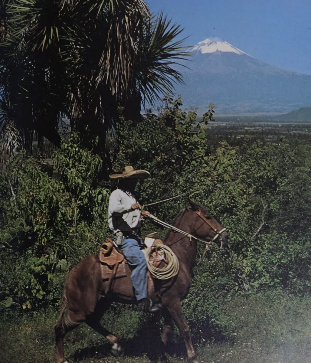 Zero sum status games are playing out in the zip codes where Americans live. But as modes of transport become overcrowded, like the humiliation ritual that is commercial air and interstate traffic, maybe old forms of transport like a sailboat, riding horseback, and flying on