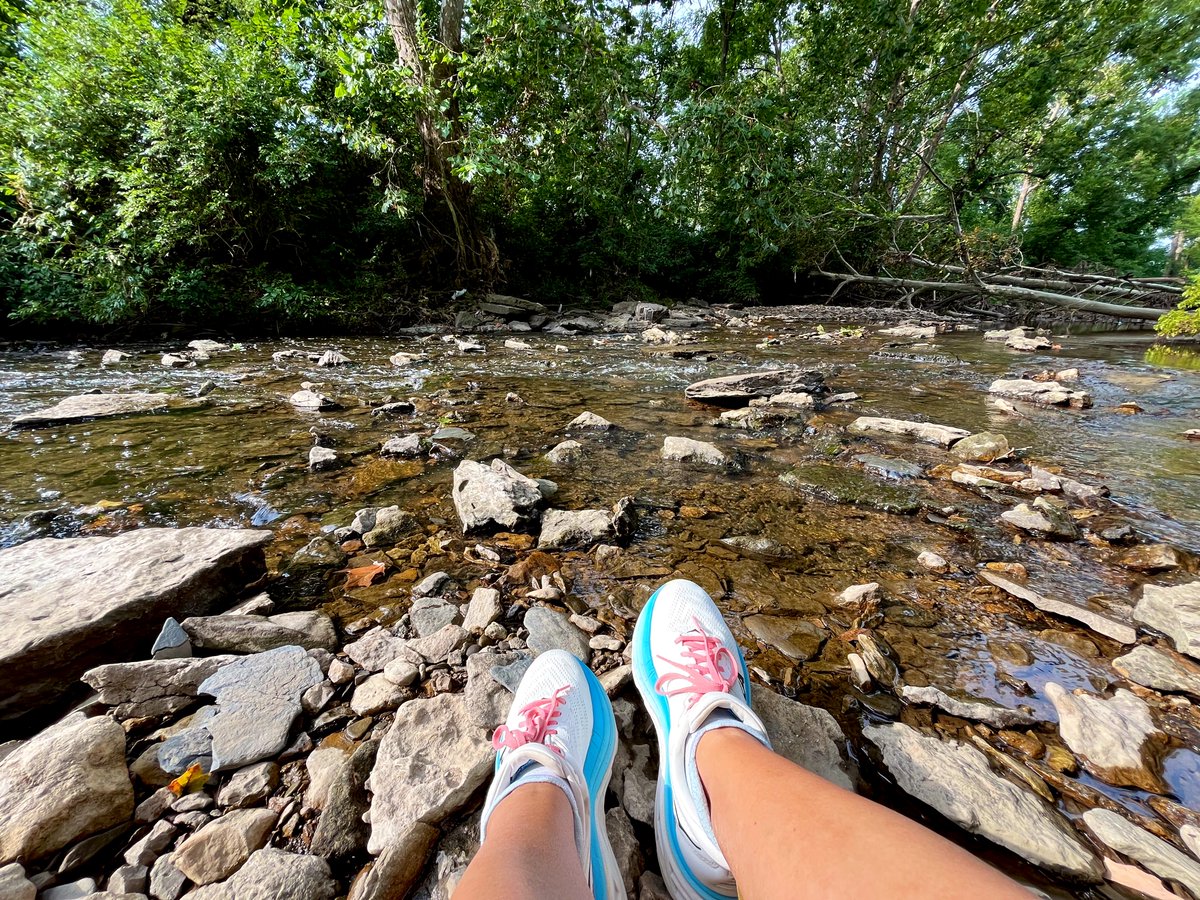 A little quiet time to start the day.