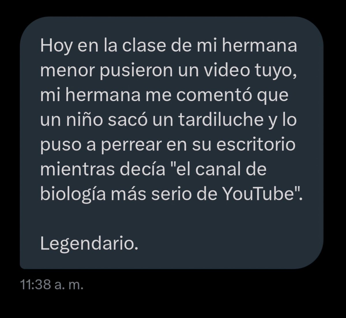 Mensajes que me alegran el día, gracias por tanto 🫂💚✨️