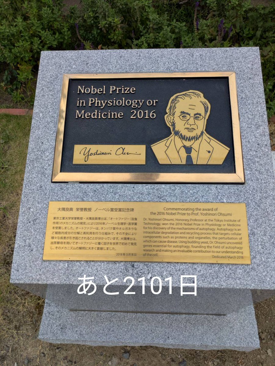 KH(非リア王) tweet media