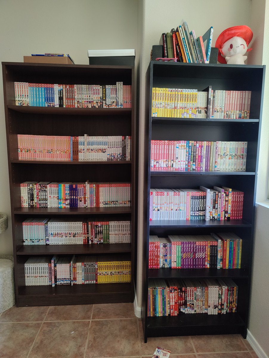 Aila Link tweet media