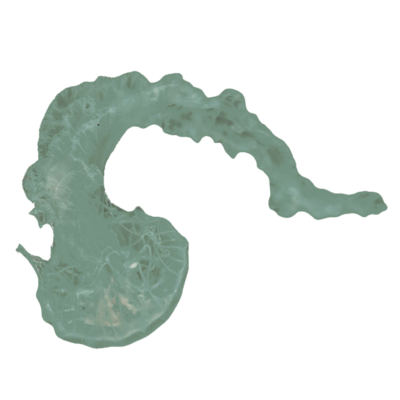 SEAS4W tweet picture
