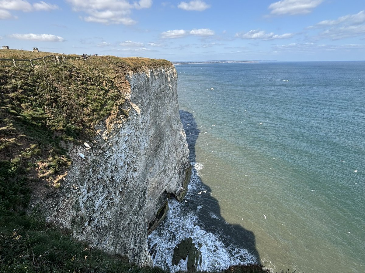 🐅Kathy Freeston 🐅 tweet media