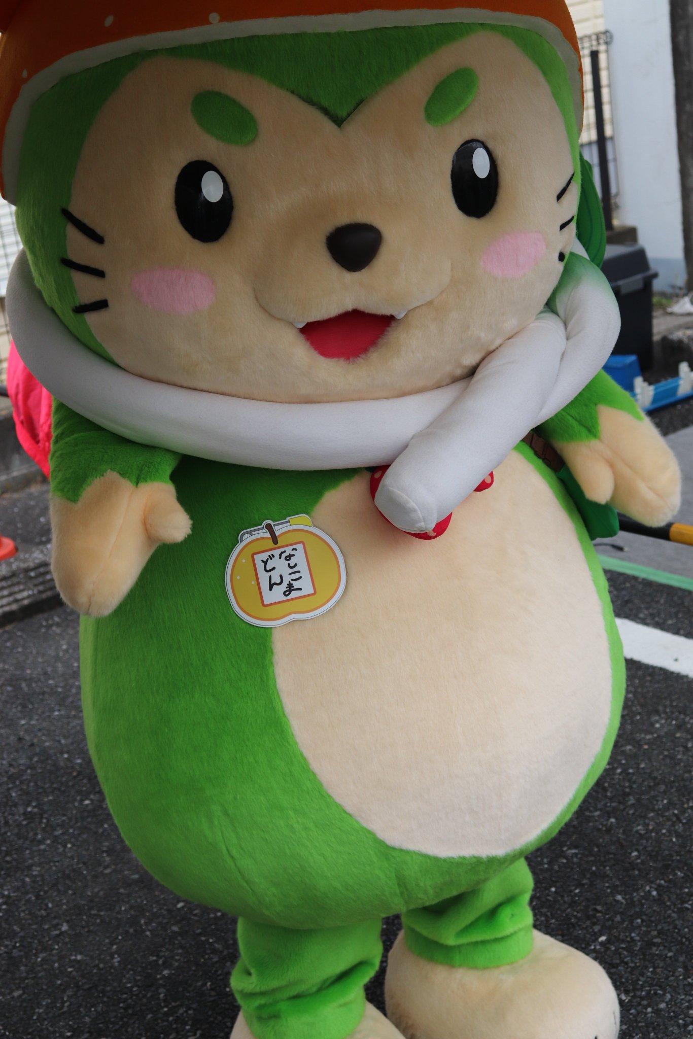 yqyさん　成犬 おやさい妖精さん×忠犬もちしば ぬいぐるみマスコット プライズ