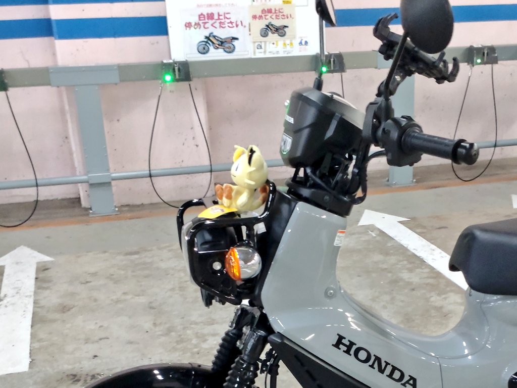 パニャです(*^^*) Kemari87 KISHISPO / ジュニア 442 V2 ACADEMY HG JNR W