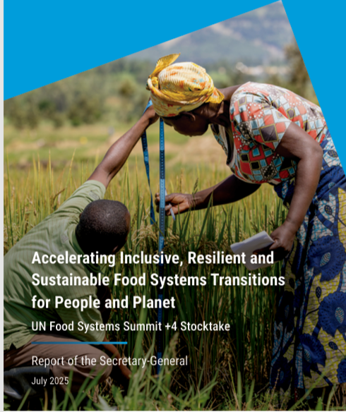 The UN Food Systems Summit +4 Stocktake was a reminder that transforming food systems is urgent &amp; possible.

Achieving #SDG2 means scaling up innovation, unlocking new financing models, &amp; building stronger collaborations with the private sector. 

Report: bit.ly/45EMbyU