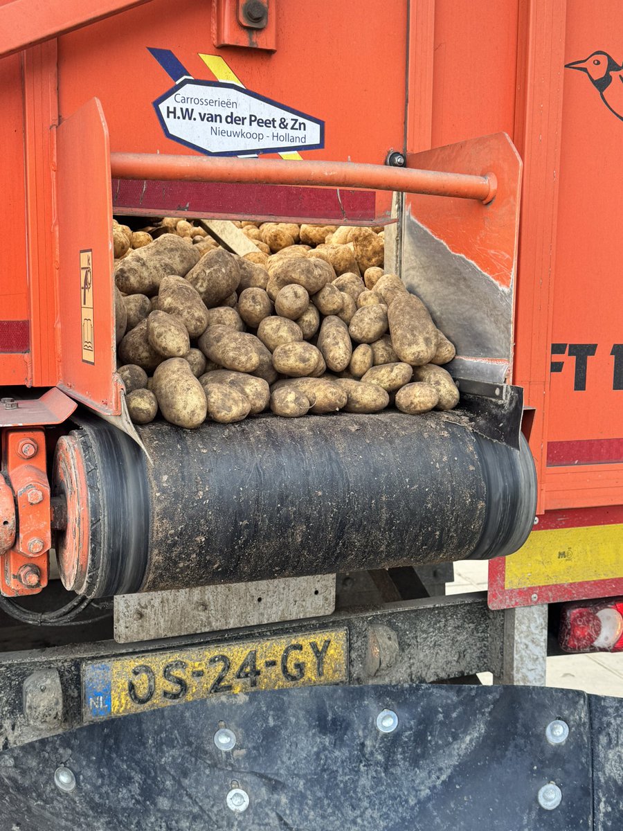 Mooie piepers, niet eerder zo grof gehad op deze datum