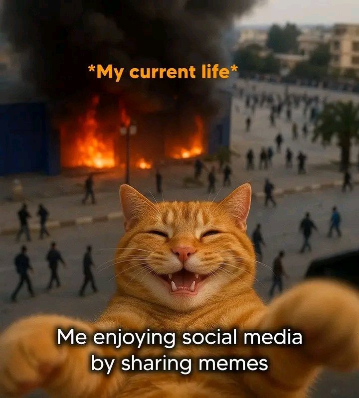My current Life 🔥
Me enjoying  memes 👌🏼👌🏼