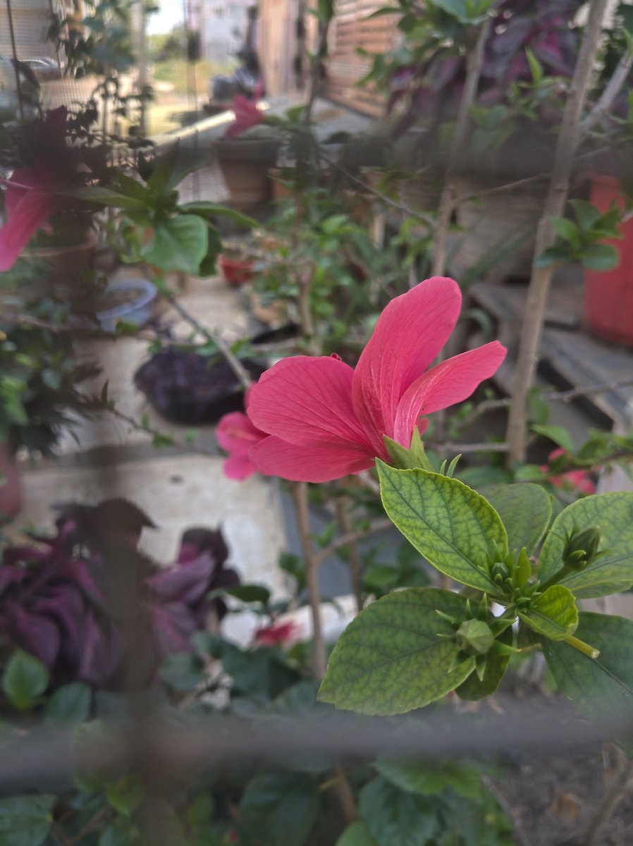 eudaykumaru58's tweet image. #Nokia9pureview #Zeiss