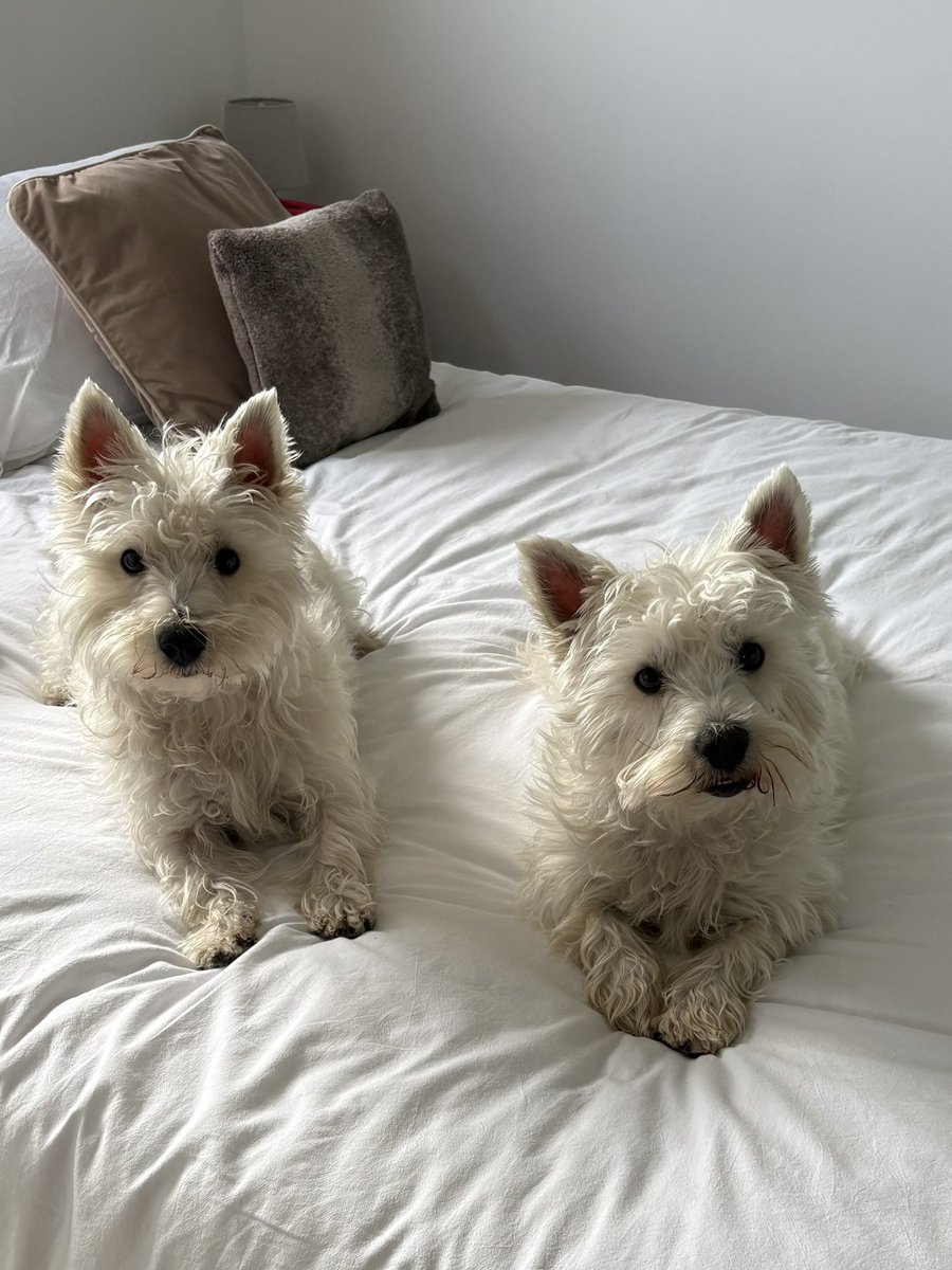 My new pyjama cases ! 🥰