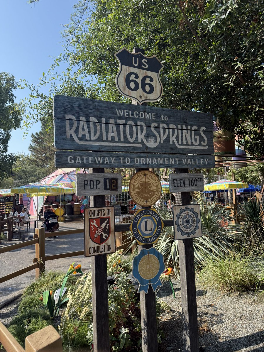 RedCatRob's tweet image. Took a wrong turn on the way to Knoxville .