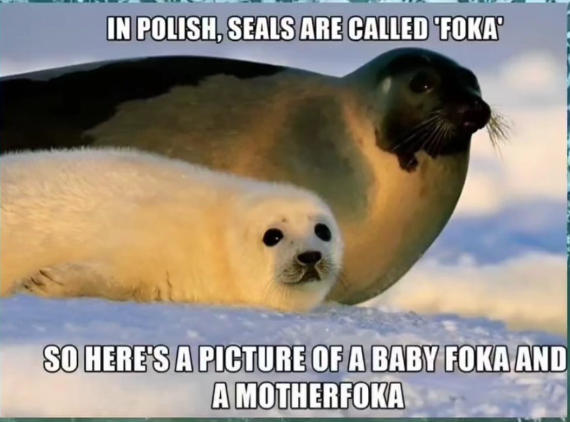 XD