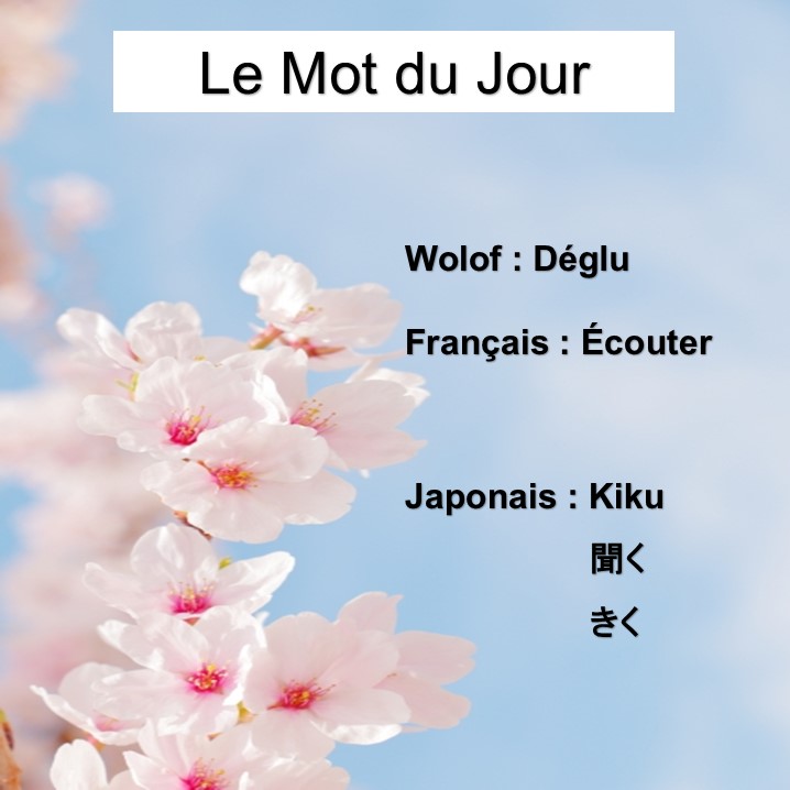 Bonjour les ami(e)s!!! Votre Mot du jour est là. Merci pour vos commentaires et suggestions . N'oubliez pas, votre avis nous intéresse. #NooFar