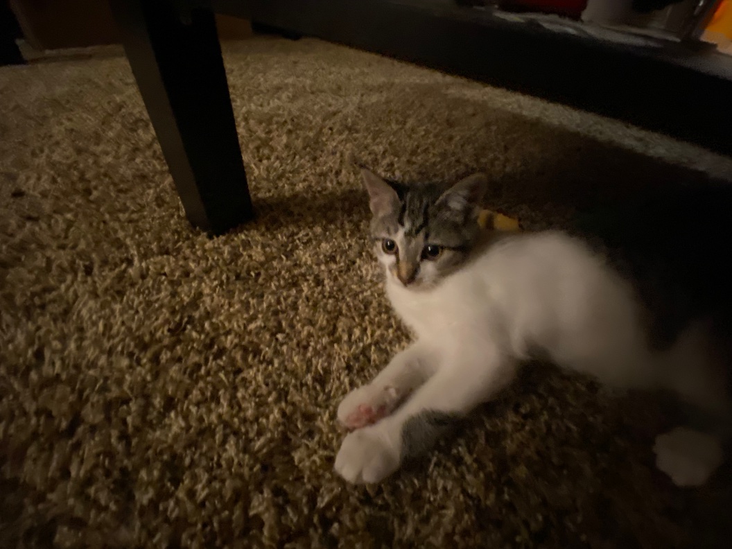 it is my birthday today