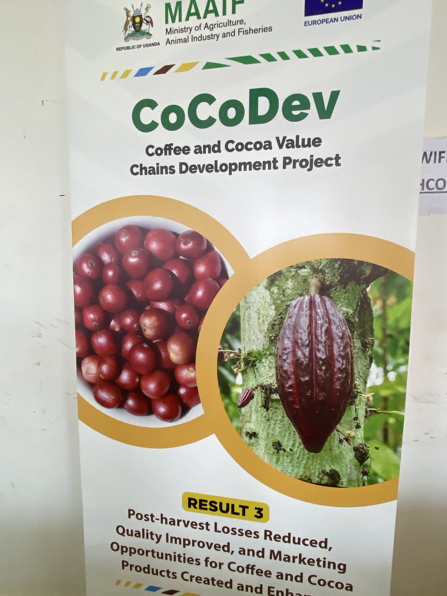 muganzi secure sectrine tweet media