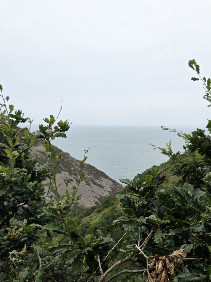 Karen_Hunter's tweet photo. Hills, hills and more hills #geocaching #valleyoftherocks #heddonvalley #Lynton #Exmoorsfirstgeocach https://t.co/5EP7eXqi9s