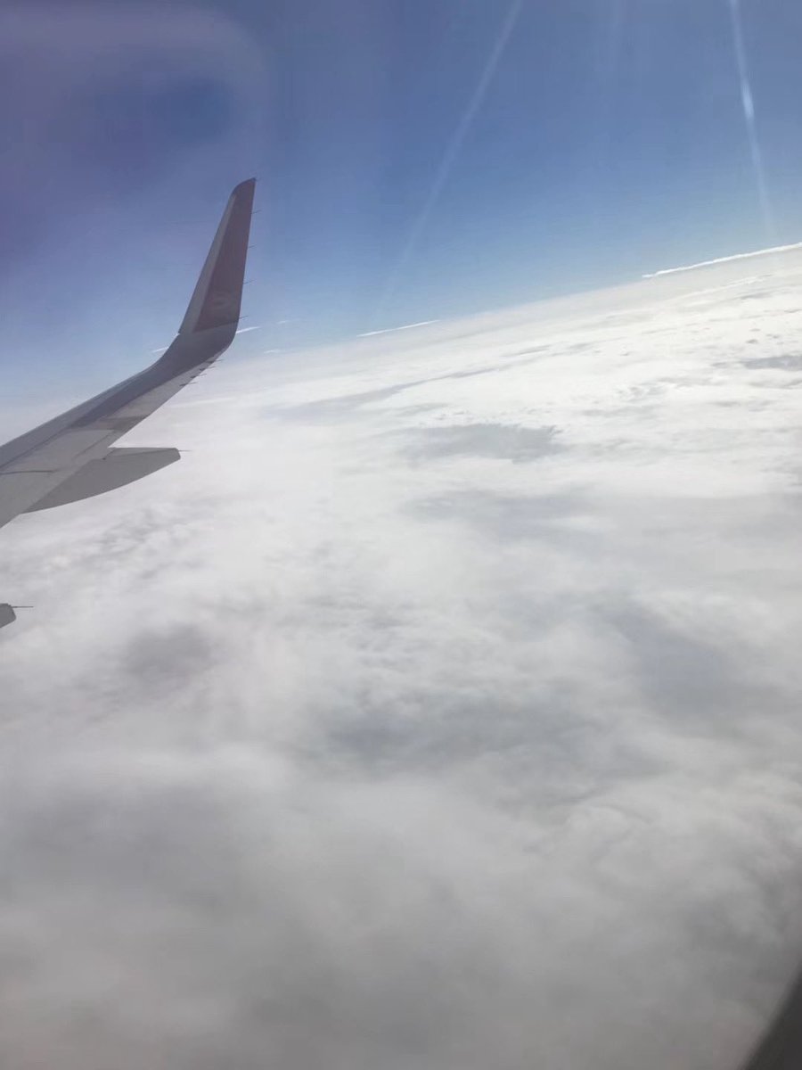 爱吃肉的菠萝 tweet media