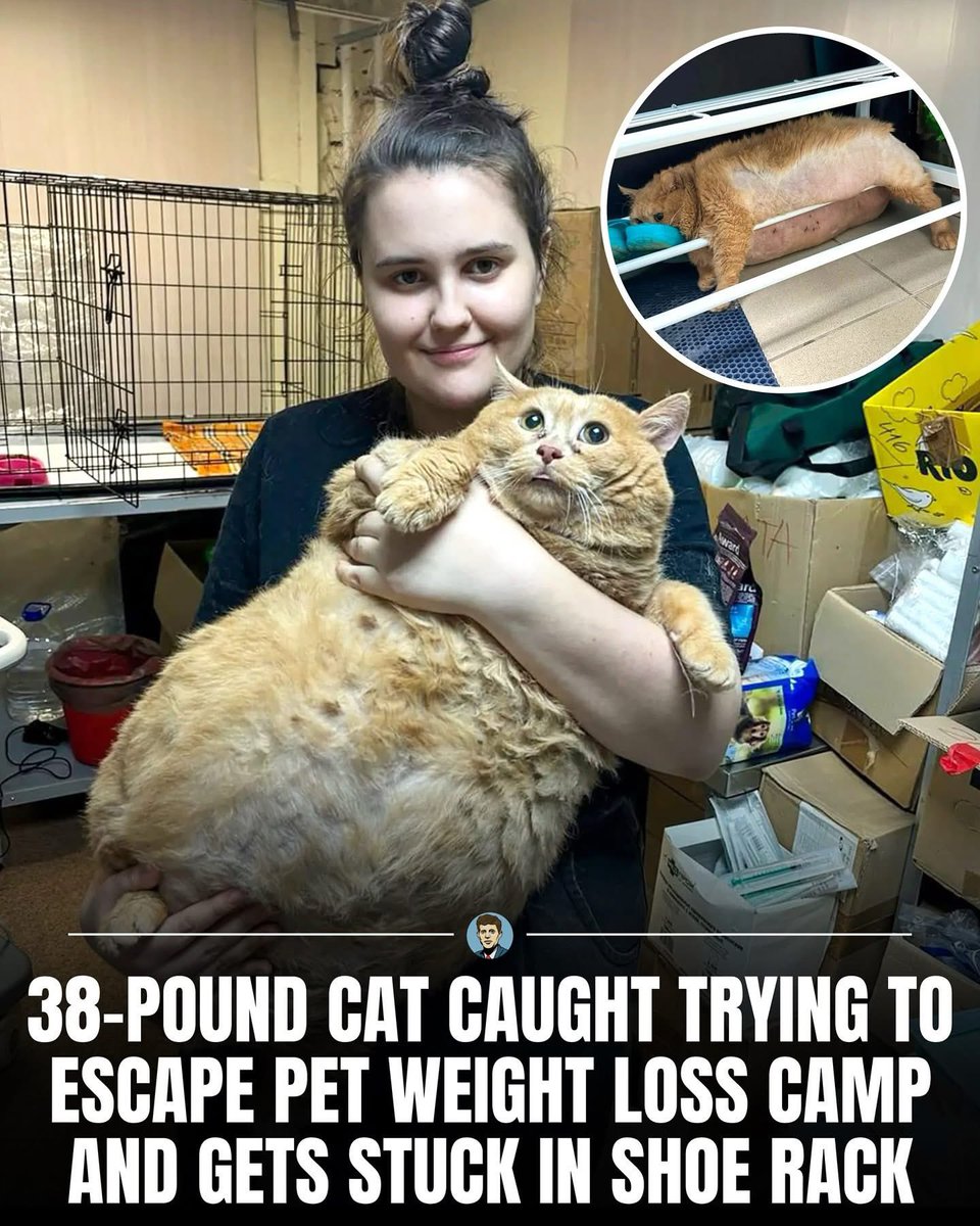 xposethetraitor's tweet image. 🤦‍♂️