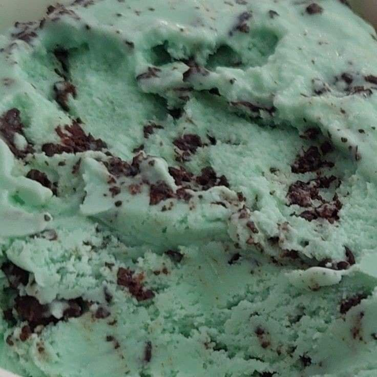 Mint chocolate chip ice cream