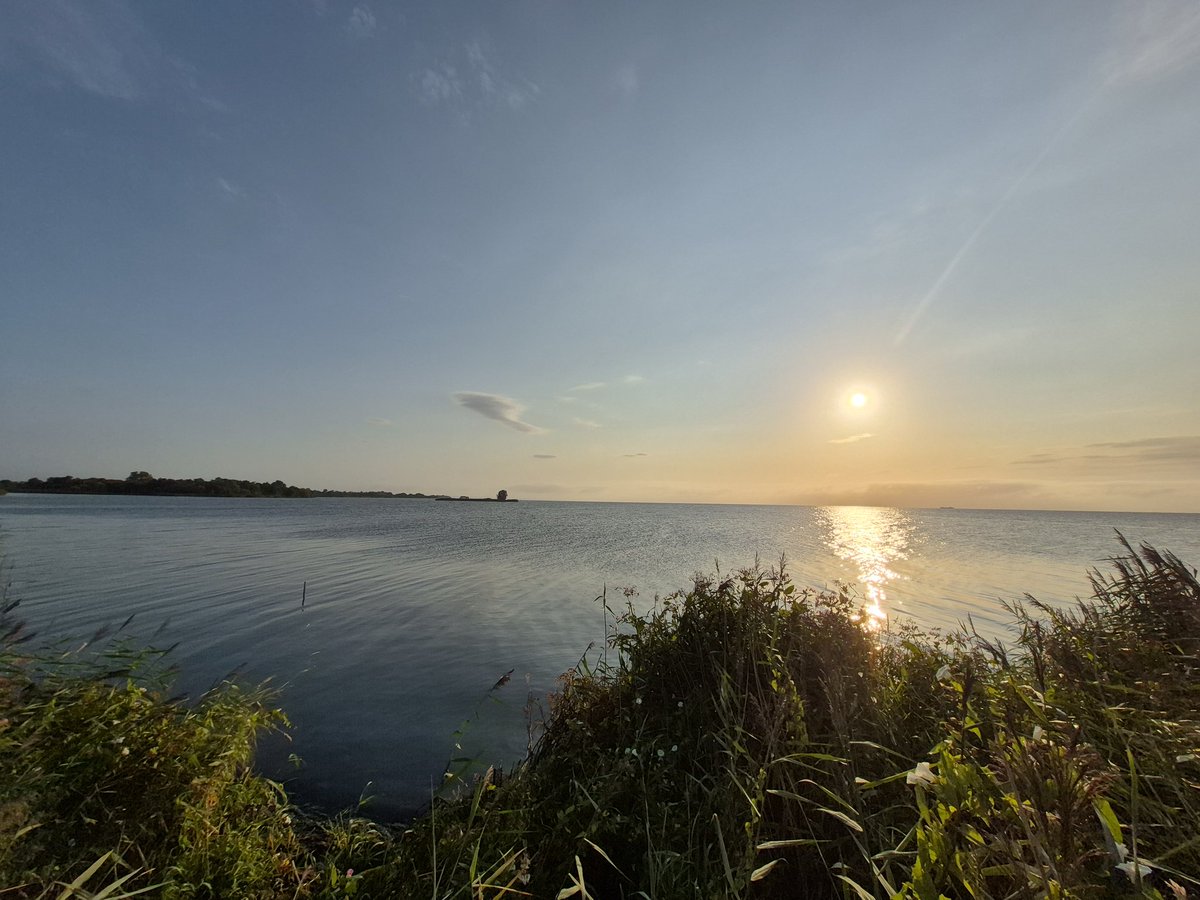 Richard Donaghey tweet media