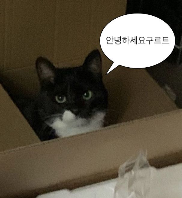 pggkeeb's tweet photo. 요구르트 https://t.co/JWDBHH3ygG