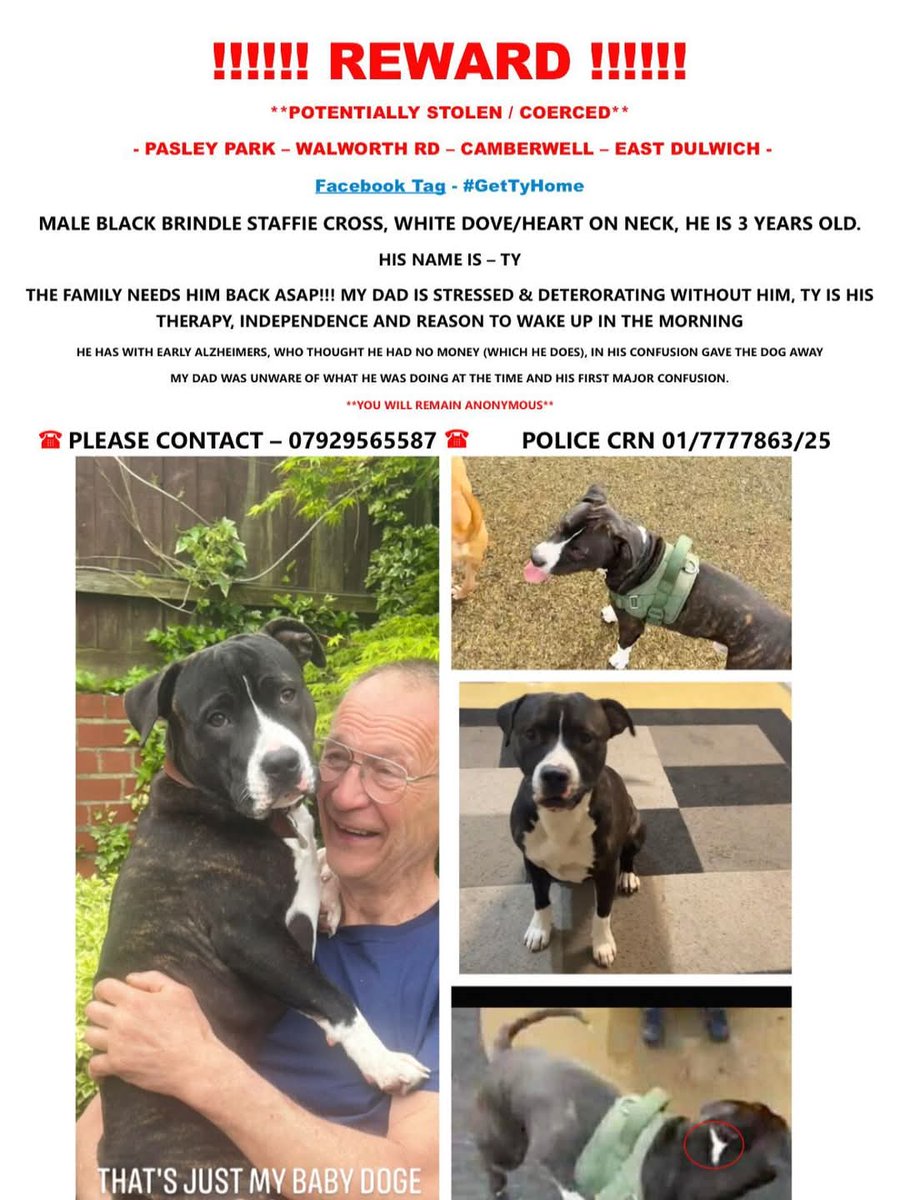 ‼️TY HAS BEEN GIVEN A CRIME REFERENCE NUMBER &amp; IS NOW CLASSIFIED AS STOLEN‼️ 

Text copied from FB post:

“My dad has early Alzheimer’s and thinks the dog had been taken from his flat or taken from the shops 💔”

Taken from Pasley Park, Walworth rd, London, SE17 area on 24th July