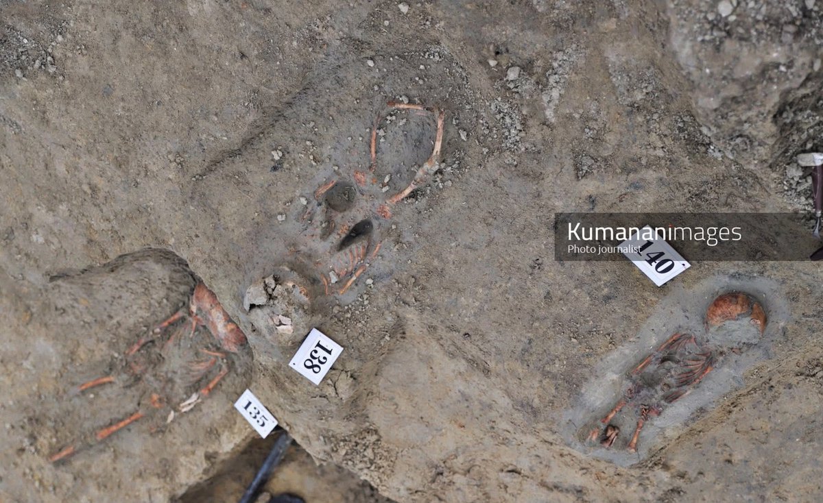 Jaffna Troll tweet media