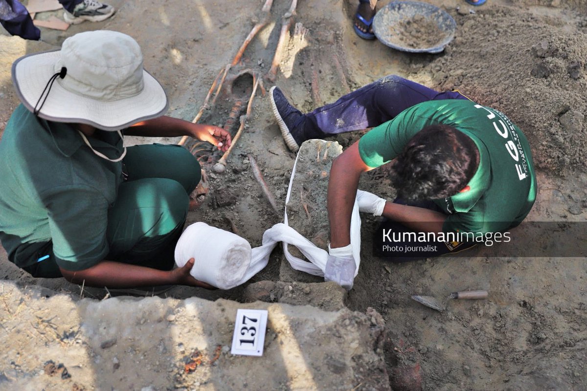 Jaffna Troll tweet media