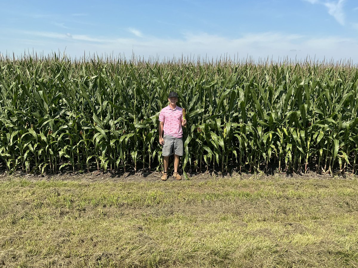 Our 16th stop was in Iroquois Co IL. Seeing some stress in the crops around here. Some yellowing in the corn and seeing some weeds. Samples were much weaker than LY. County did 214 LY. Won’t touch that yield mark this year. #cropwatch #oatt #croptour