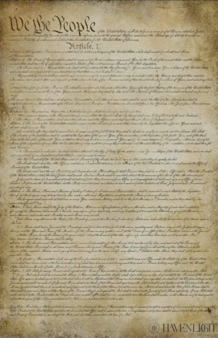 TheUnHeard_One's tweet image. The number of #spaceshost  claiming to be “1a Absolutists” is getting outta control. 

I think it’s time for a Civics lesson. A very BASIC Civics lesson, at that!