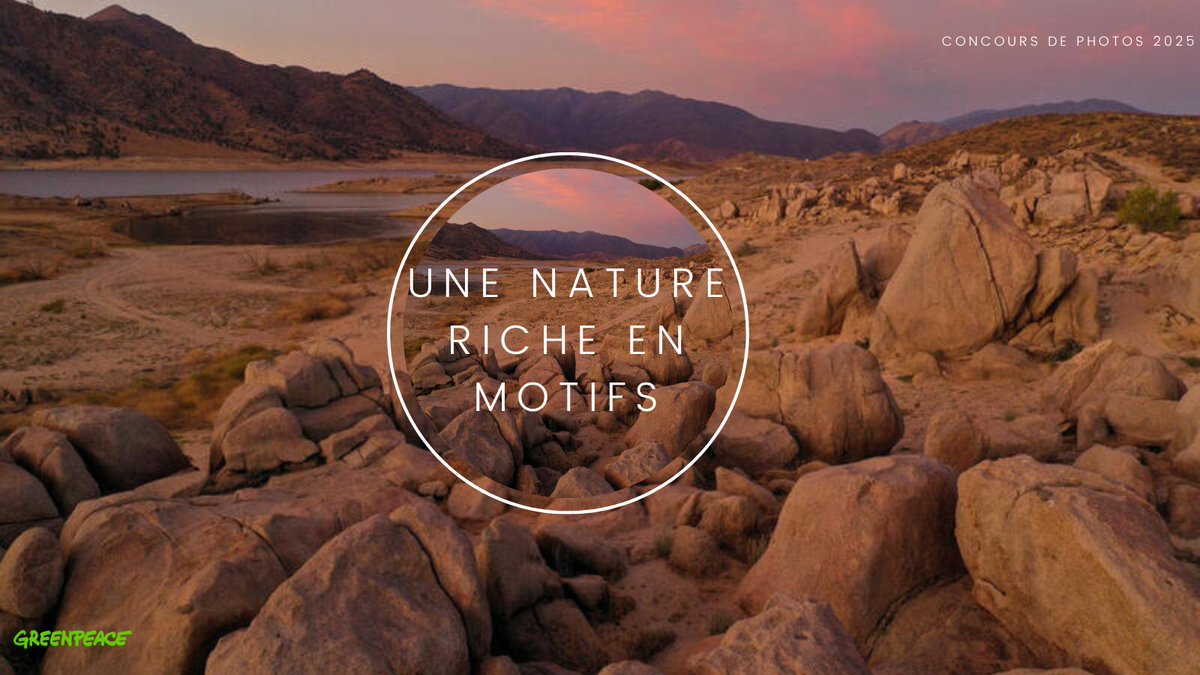 Plus que 1 journée! ⏳
Il est temps de sortir des sentiers battus et de capturer les textures les plus époustouflantes de la nature!
Le concours se termine le 7 août.
#ConcoursPhotoGreenpeace 📷

act.gp/3Uk4aEy