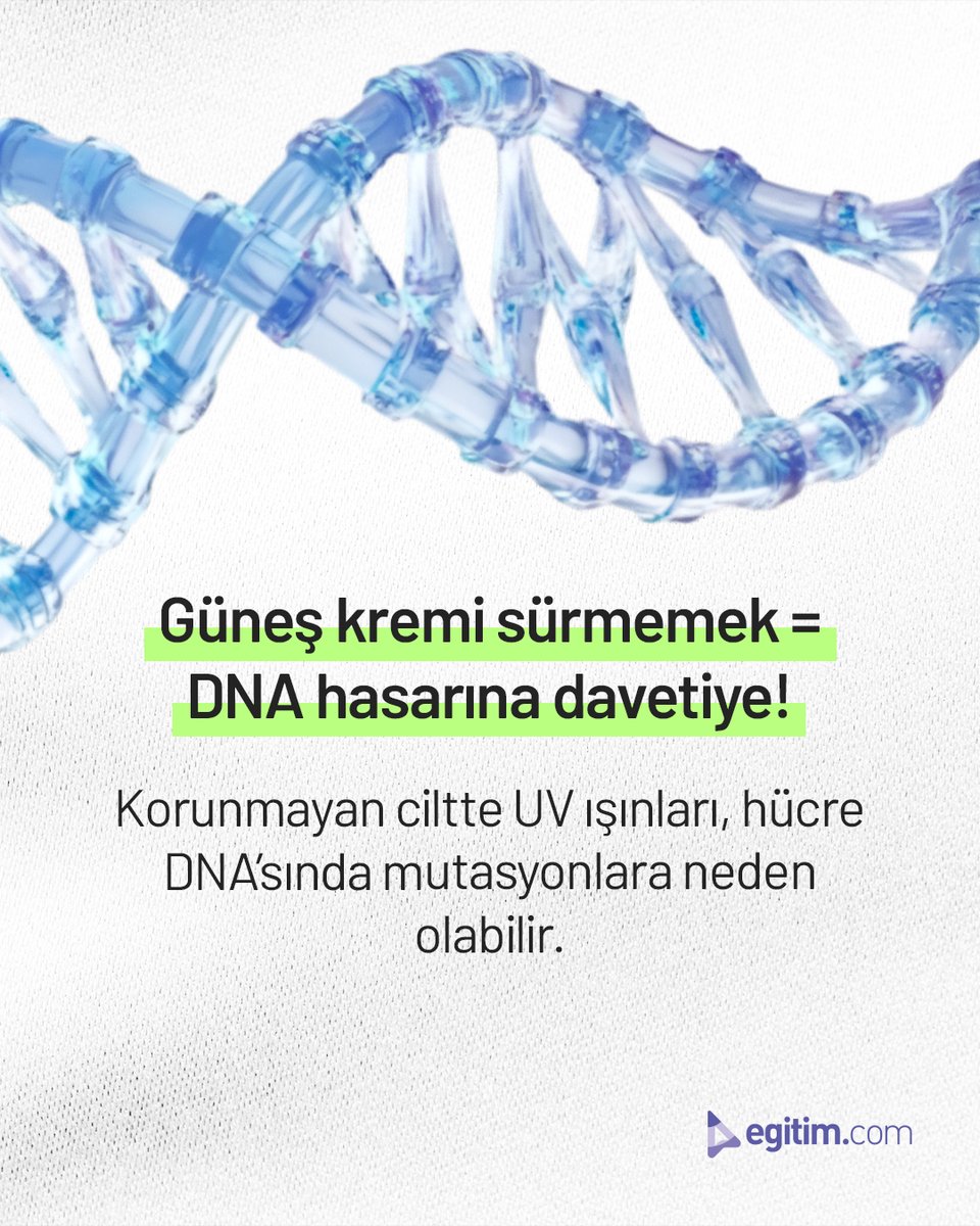 egitim_com's tweet image. Güneş kremi sürmeyi sadece plajdayken mi hatırlıyorsun?

Oysa DNA’nın korunmaya her gün ihtiyacı var. 🧬

#Egitimcom #EğitimeDeğer #GüneştenKorun #DNA #GüneşKremi #UVIşınları