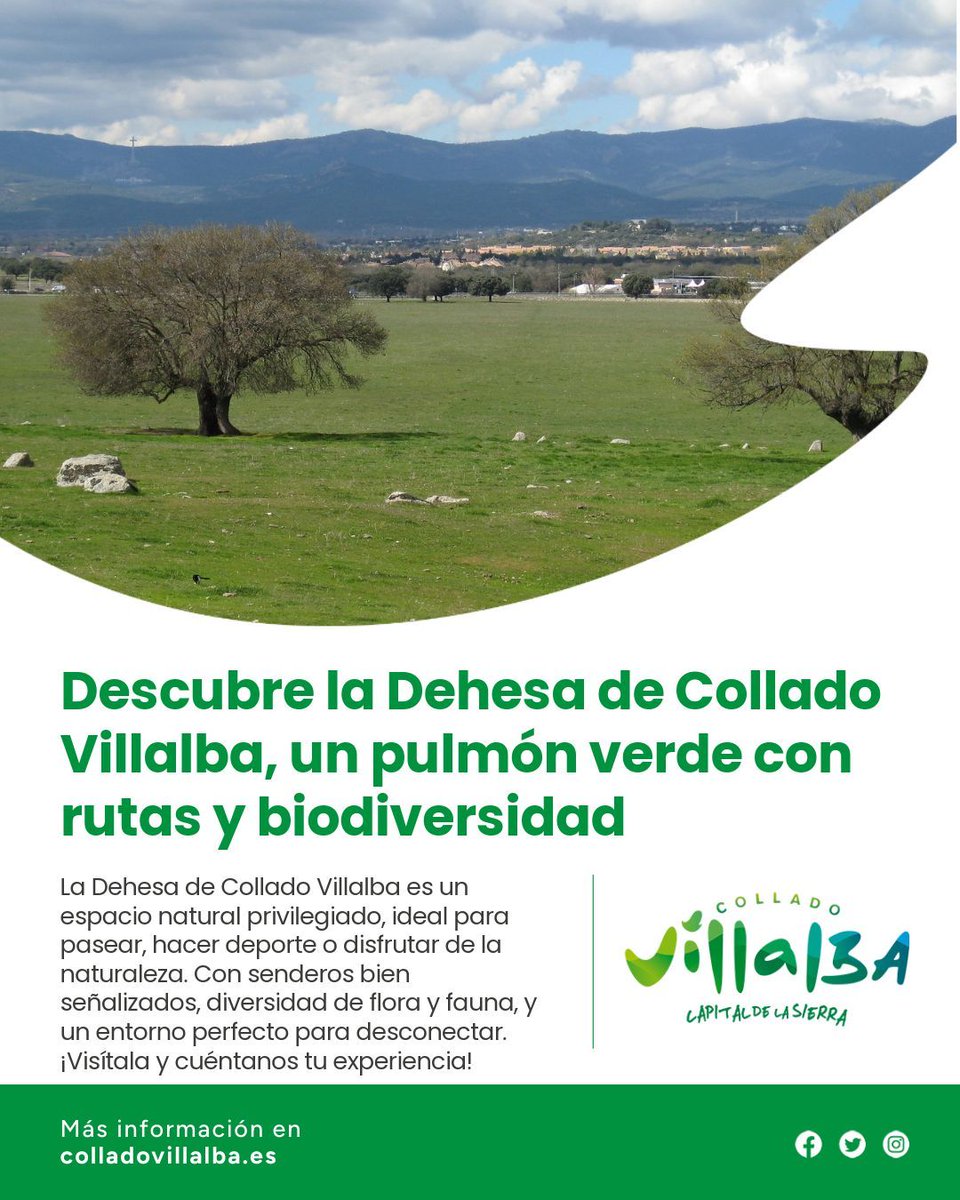 Ayuntamiento de Collado Villalba (@ayuntamientocv) on Twitter photo 🌳 Disfruta de la Dehesa de #ColladoVillalba 🚶♂️
📸 Un entorno natural lleno de rutas, fauna y paisajes increíbles.
#Naturaleza #ViveColladoVillalba 🌳 Disfruta de la Dehesa de #ColladoVillalba 🚶♂️
📸 Un entorno natural lleno de rutas, fauna y paisajes increíbles.
#Naturaleza #ViveColladoVillalba