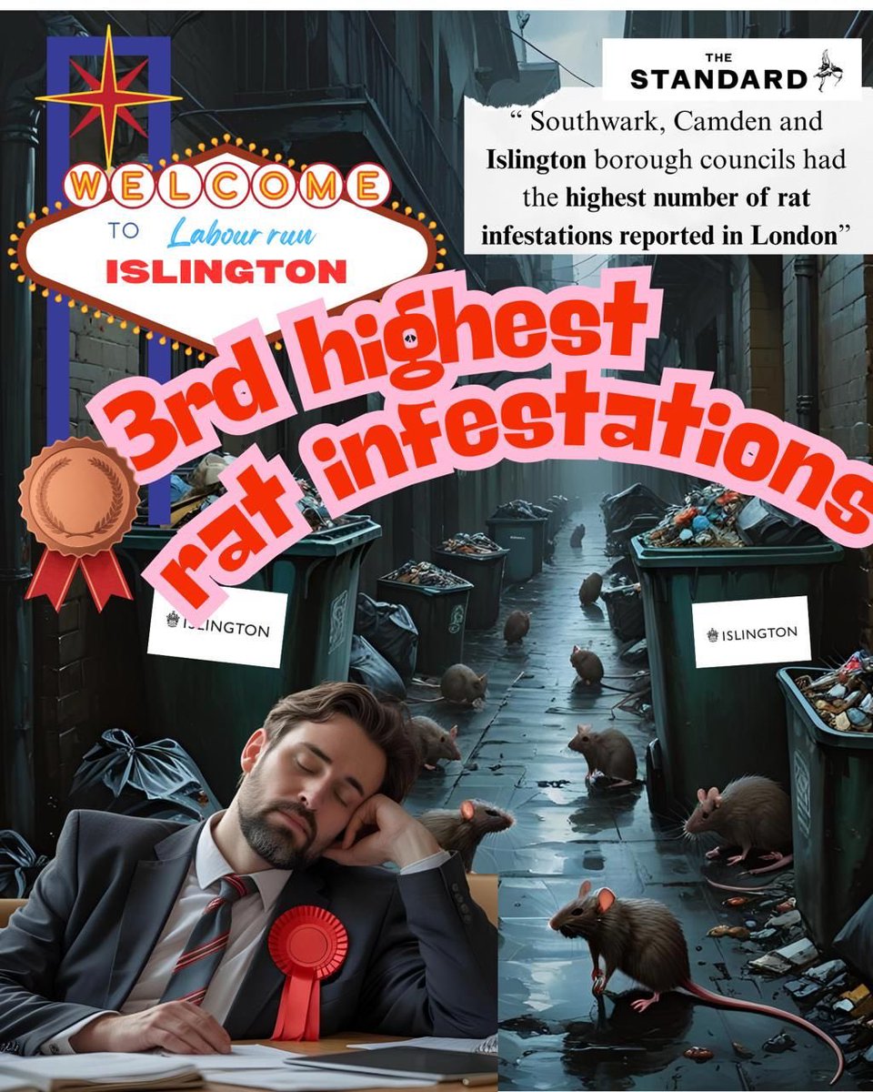 Kate Pothalingam 🔶 tweet media