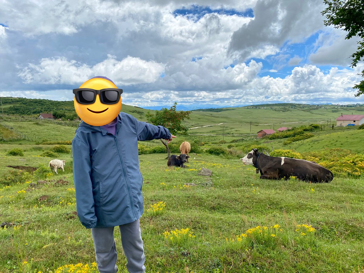 gMooo <a href="/lamumudotxyz/">Lamumudotxyz</a> <a href="/0xmullet/">0xmullet</a> <a href="/dillchen/">dillon (🐮,🌝)</a> <a href="/RhysFH/">Rhys</a>