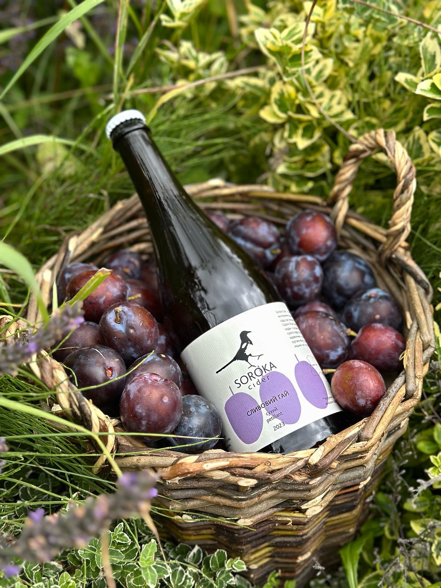 noubase's tweet image. Хто знає — той знає