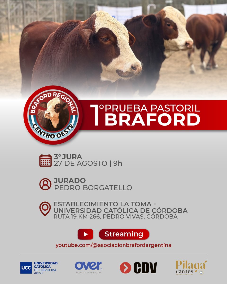 Se viene la 3° Jura de la #PruebaPastoril #Braford junto a la <a href="/UCCoficial/">Universidad Católica de Córdoba</a>, #CDV, <a href="/cabanapilaga/">Cabaña Pilagá</a> y #Over 

🔜 27 de agosto | 9h | Youtube lnkd.in/dPJ3ZEiN