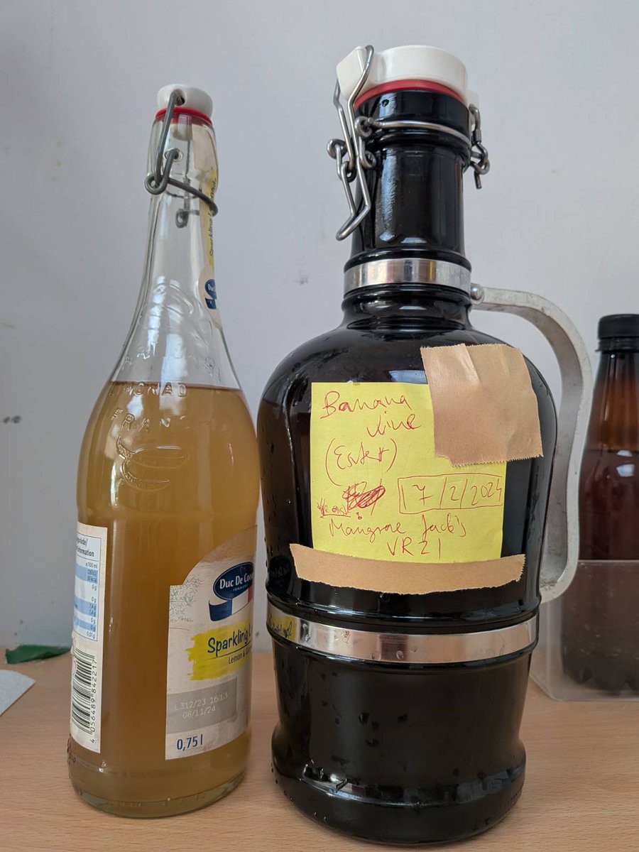 🍌🍷 Banana wine? Yes, really.

Tog member Eszter just decanted a batch they'd been fermenting right here in the space since Feb 24. Described by tasters as “dry”, though they insist it’s more semidry.

Made in Tog, tasted in Tog. 💪

 #BananaWine #Homebrew #FermentationFun